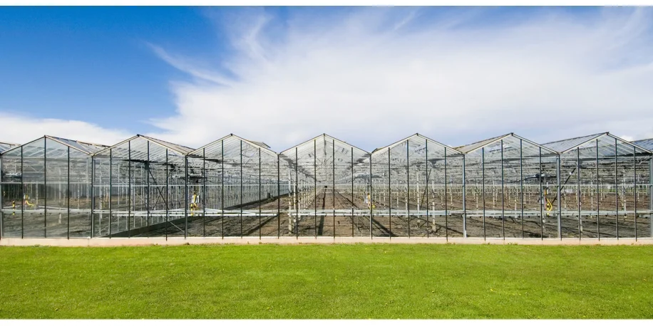 dp_pictures_industries_greenhouse2_1920x880